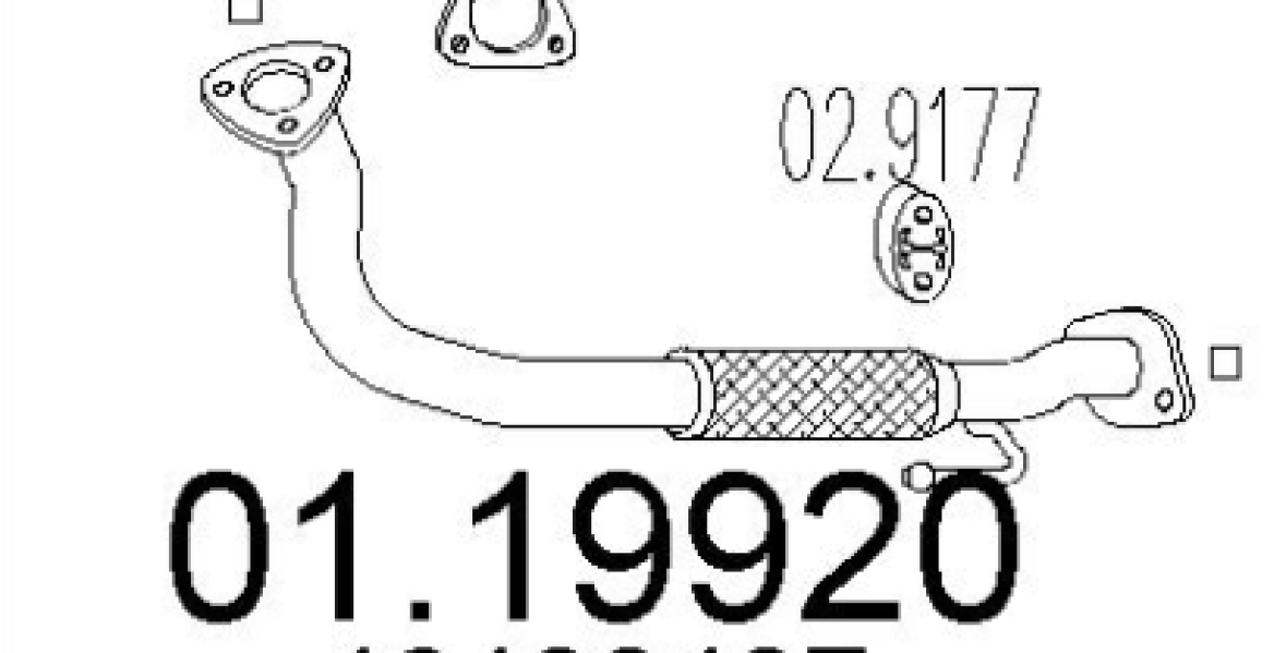 0119920Cattura