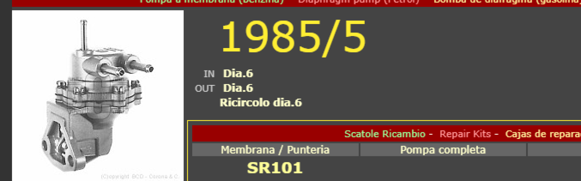 19855